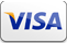 We accept Visa payments